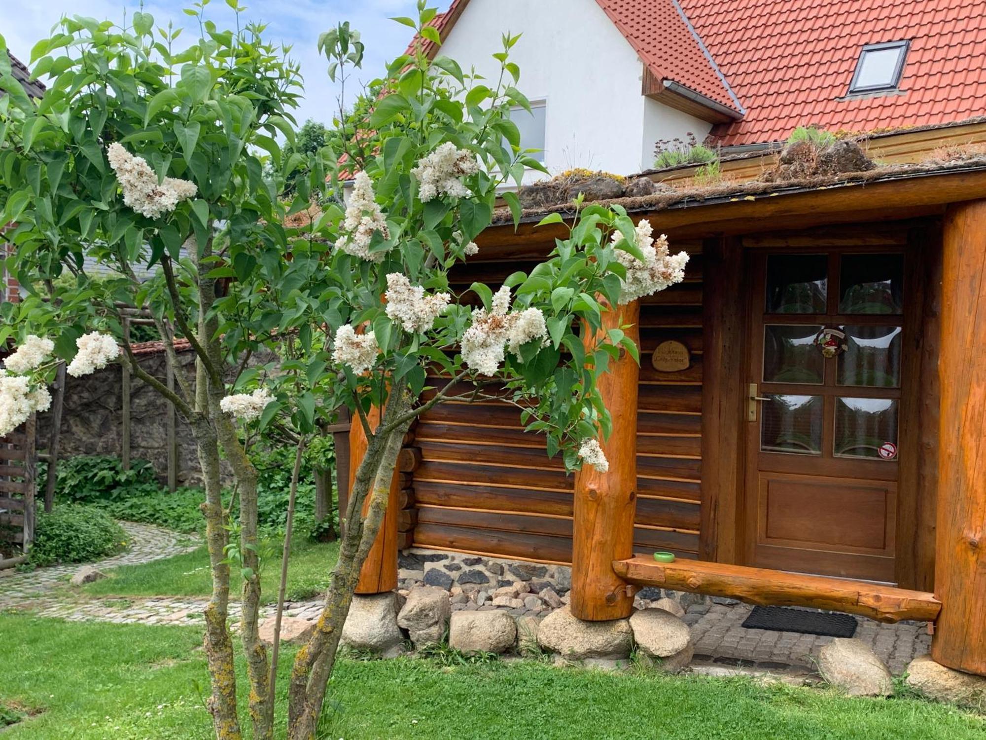 Blockhausvermietung "Vor Dem Groeperntor" Кведлинбург Екстериор снимка
